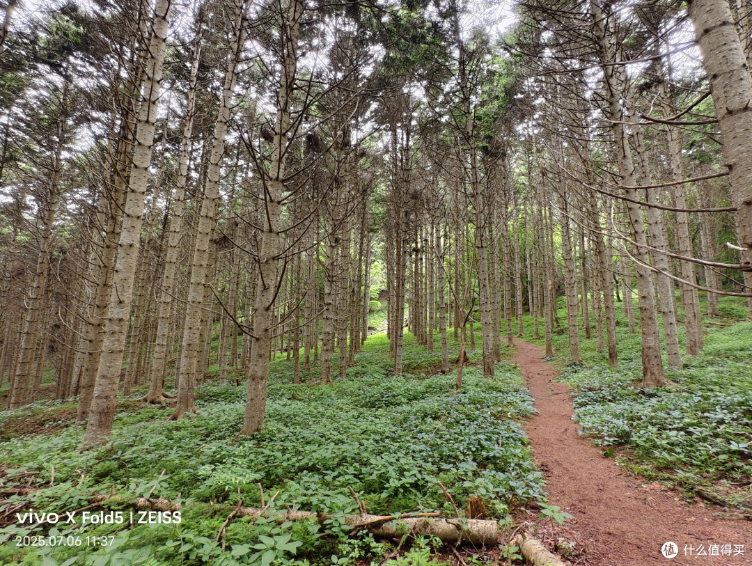 人性考验北国旅,他乡浅游高校记(北海道篇)