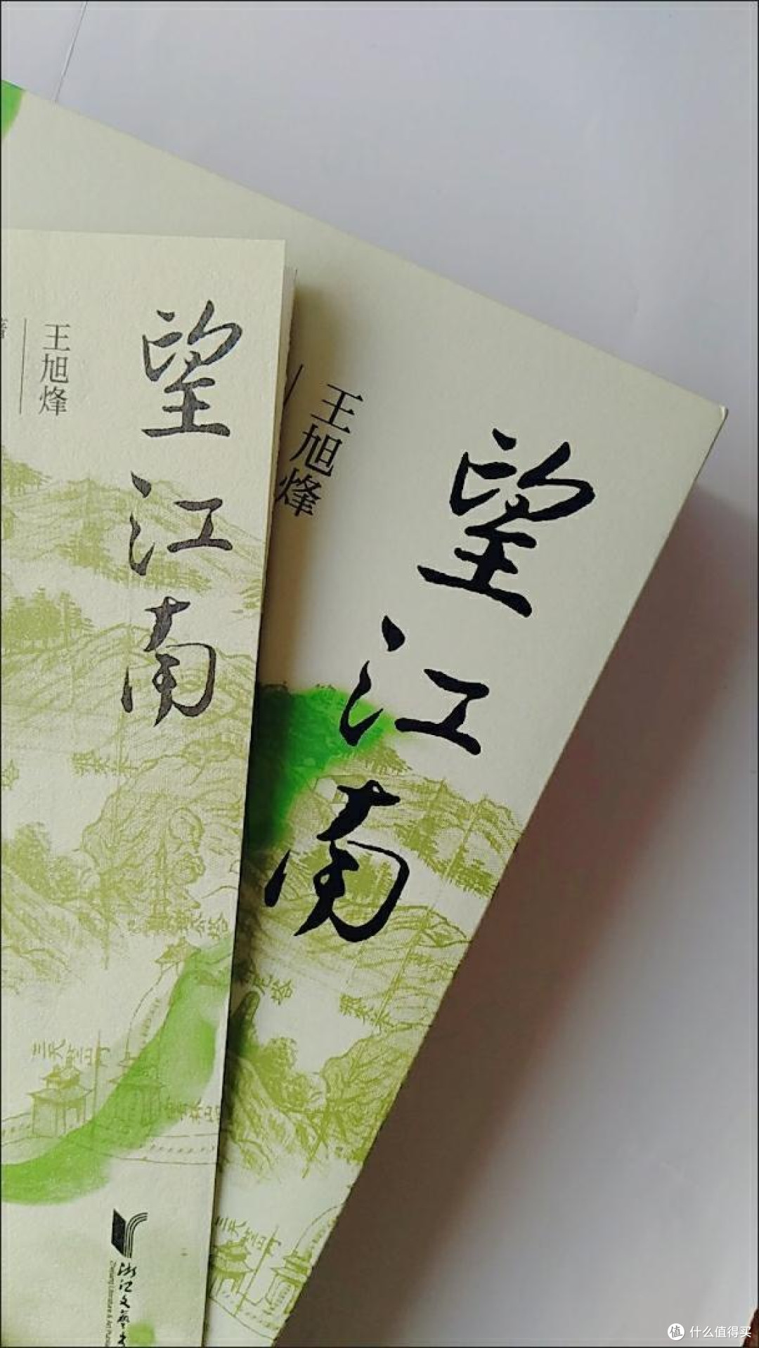 年度好书 | 被《望江南》狠狠拿捏了