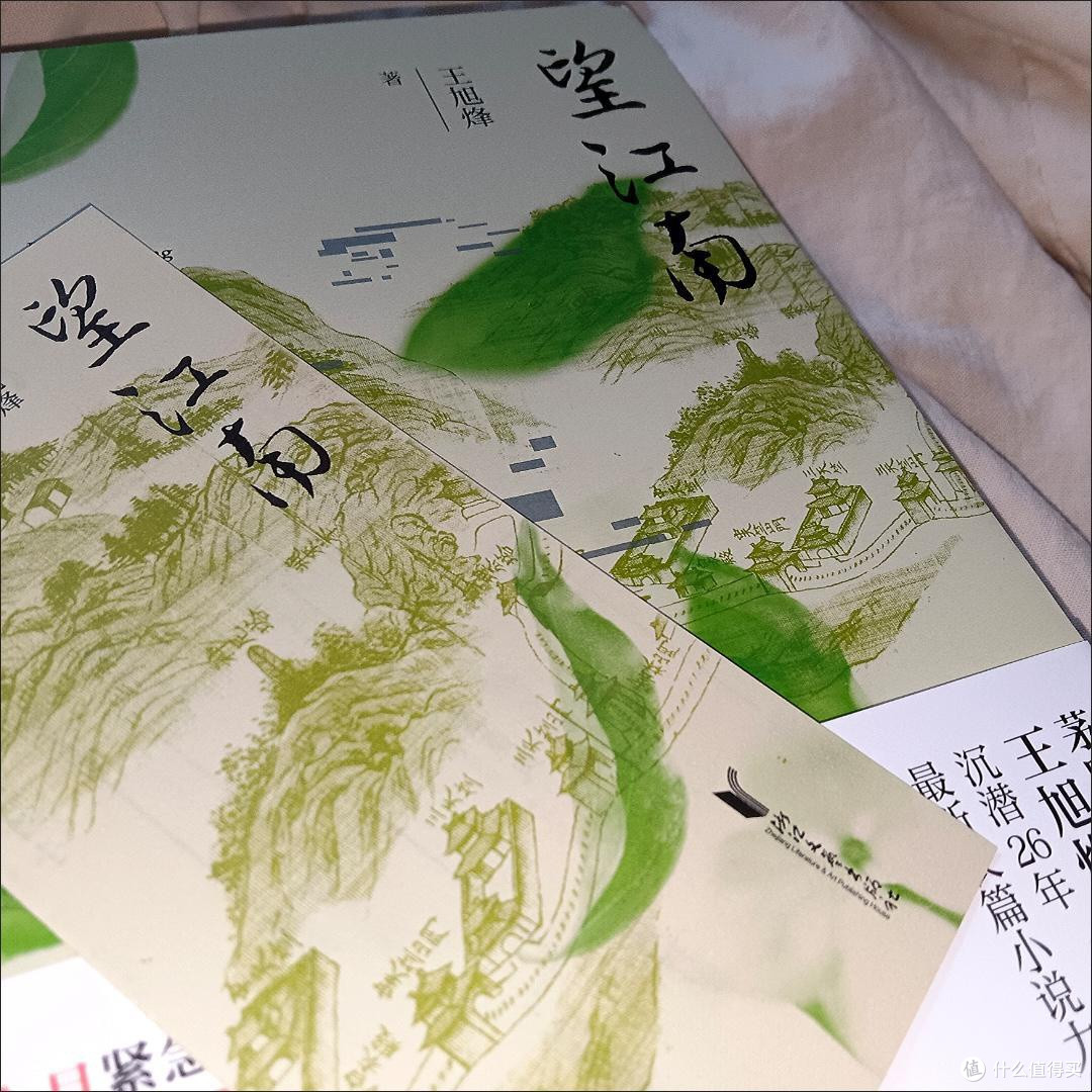年度好书 | 被《望江南》狠狠拿捏了