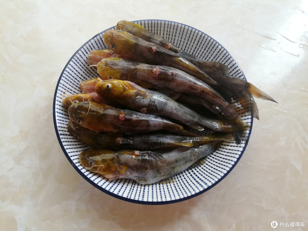 初夏最好吃的鱼就是它,肉多刺少,老少皆宜,我家一周吃3次!