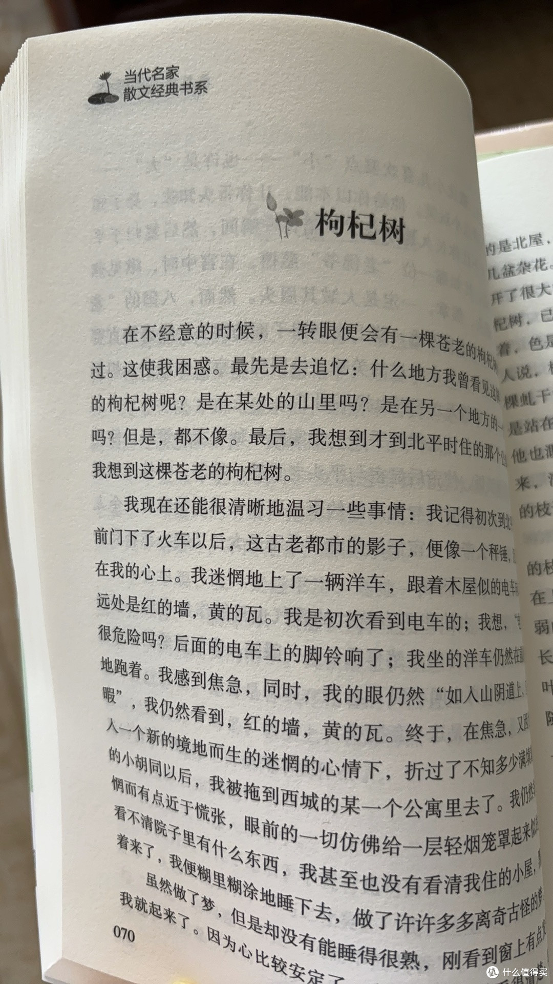 被书名耽误的年度宝藏散文集