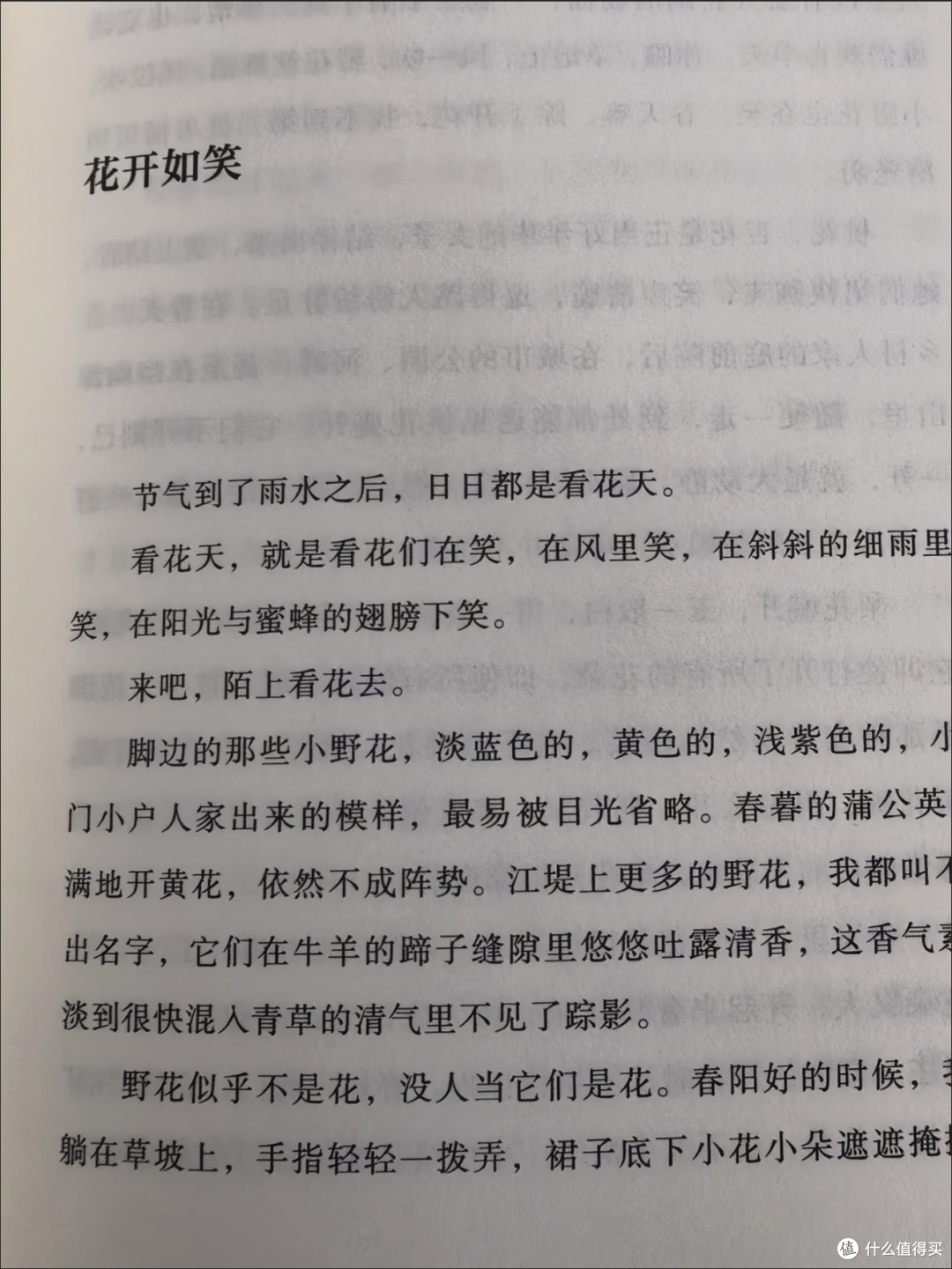 被书名耽误的年度宝藏散文集