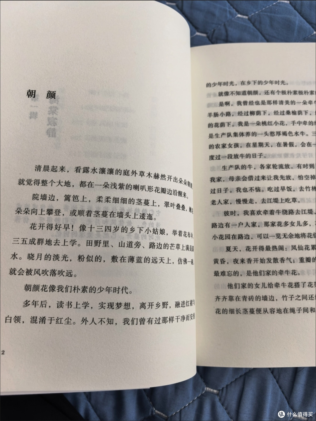 被书名耽误的年度宝藏散文集