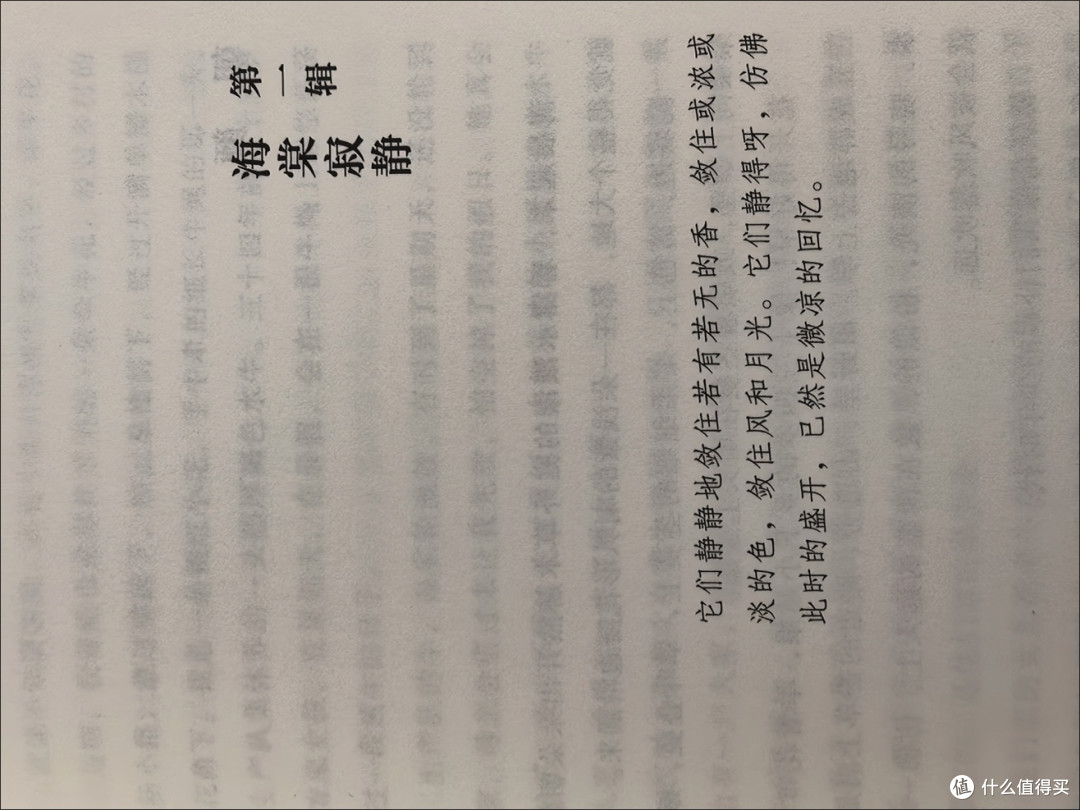 被书名耽误的年度宝藏散文集