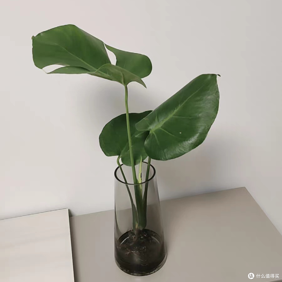精致好物点缀平凡日子