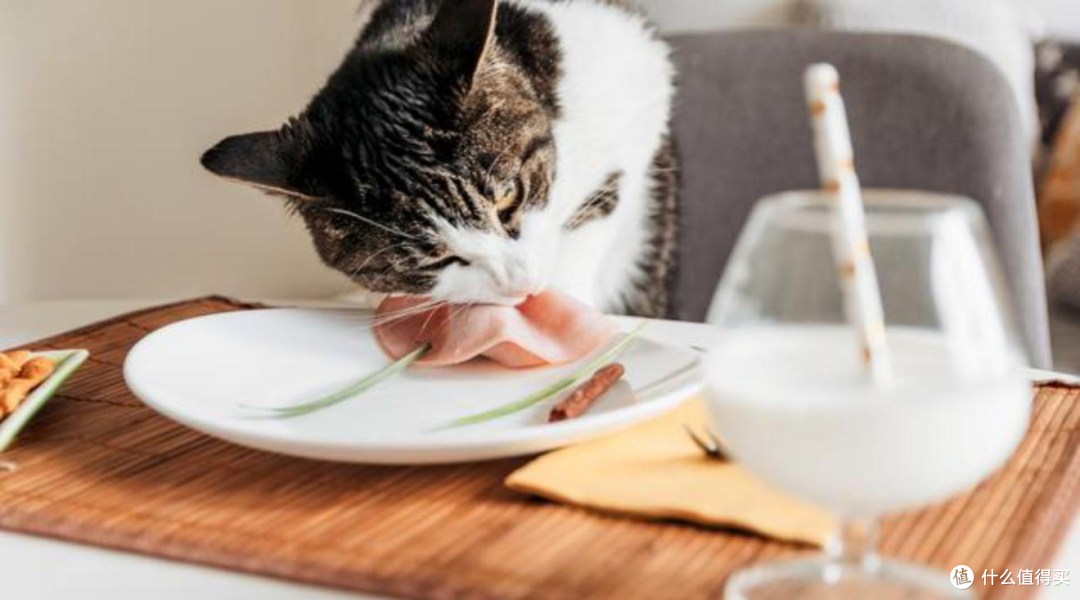 猫粮排行榜上的希喂和一家之言哪款更好?区别对比分析