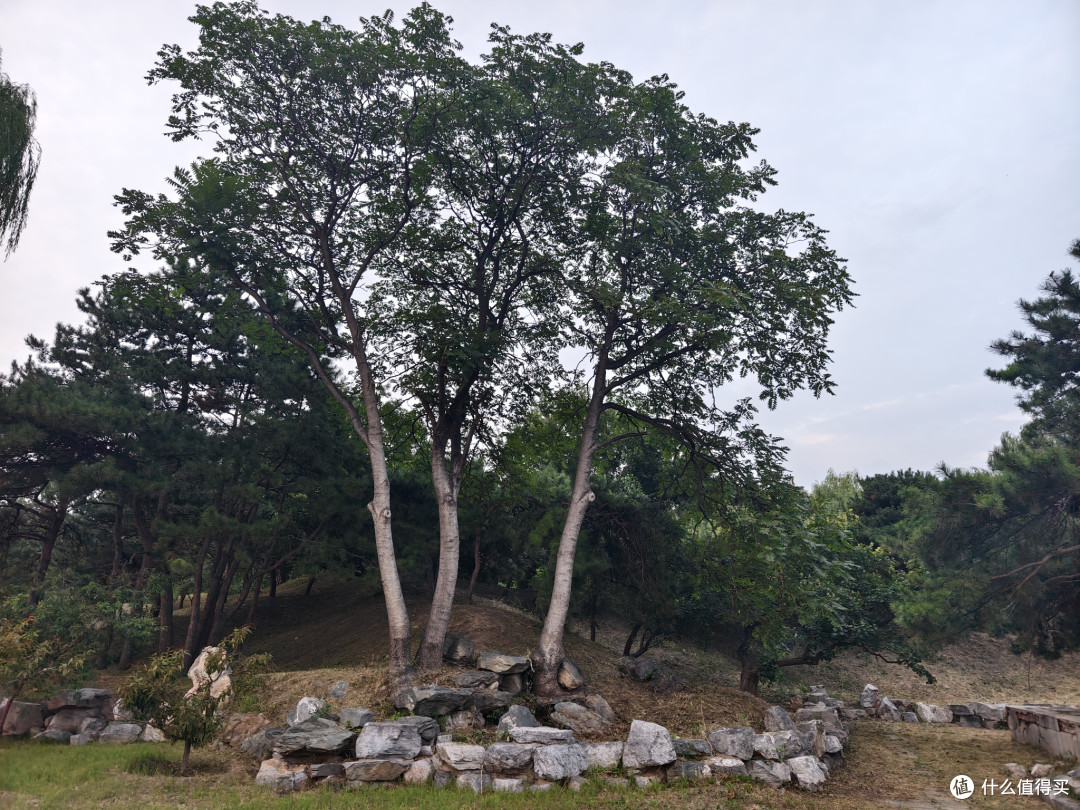 游在北京之圆明园——再一次近距离感受历史