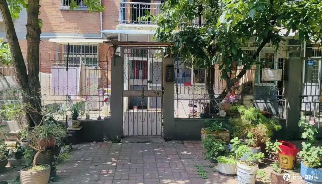 不听劝!买了别人不要的“老破小一楼”,入住一年多,说说心里话