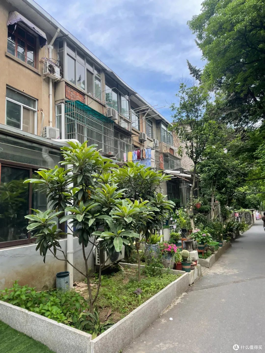 不听劝!买了别人不要的“老破小一楼”,入住一年多,说说心里话
