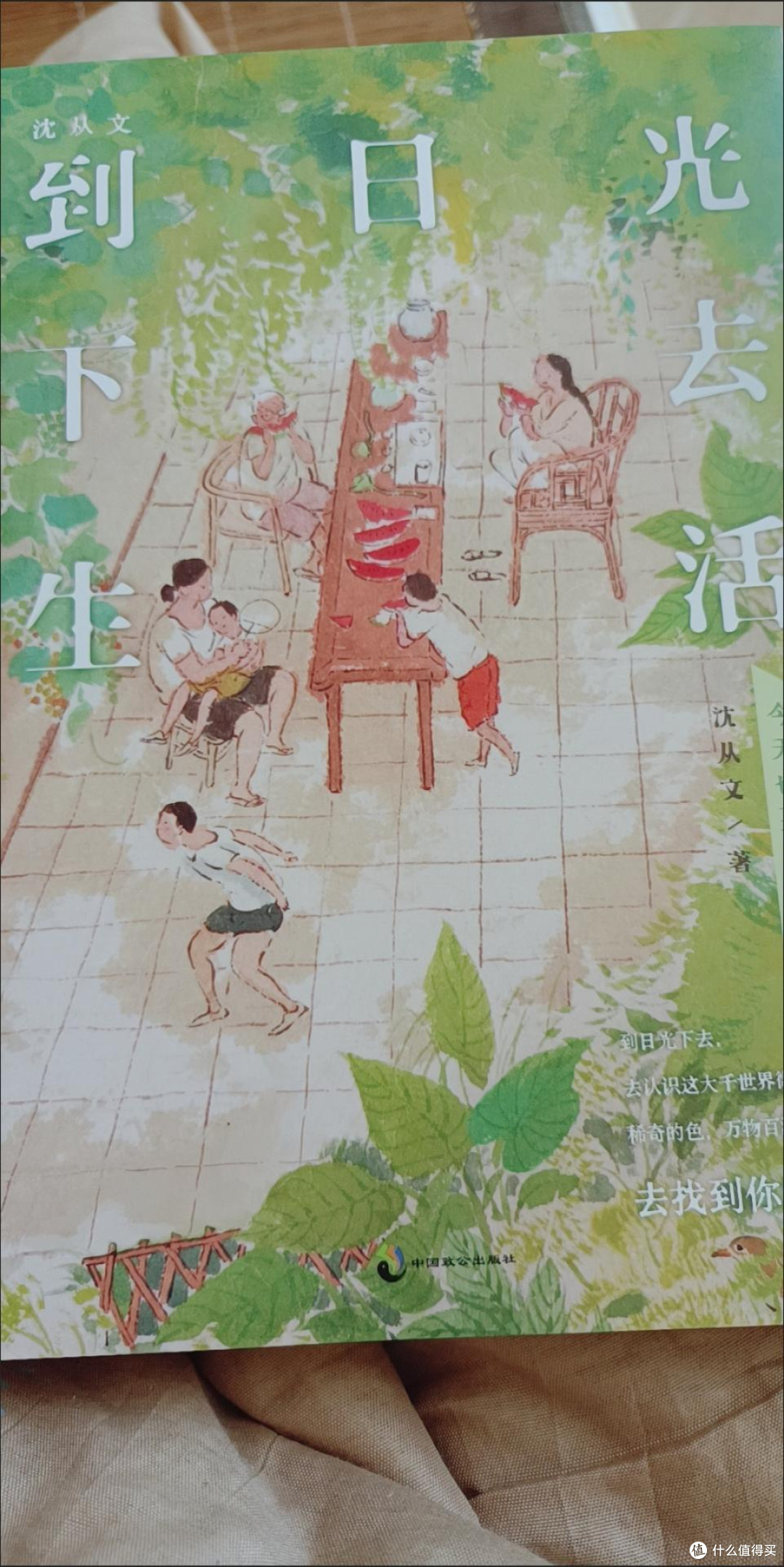 于夏日,邂逅沈从文的诗意世界