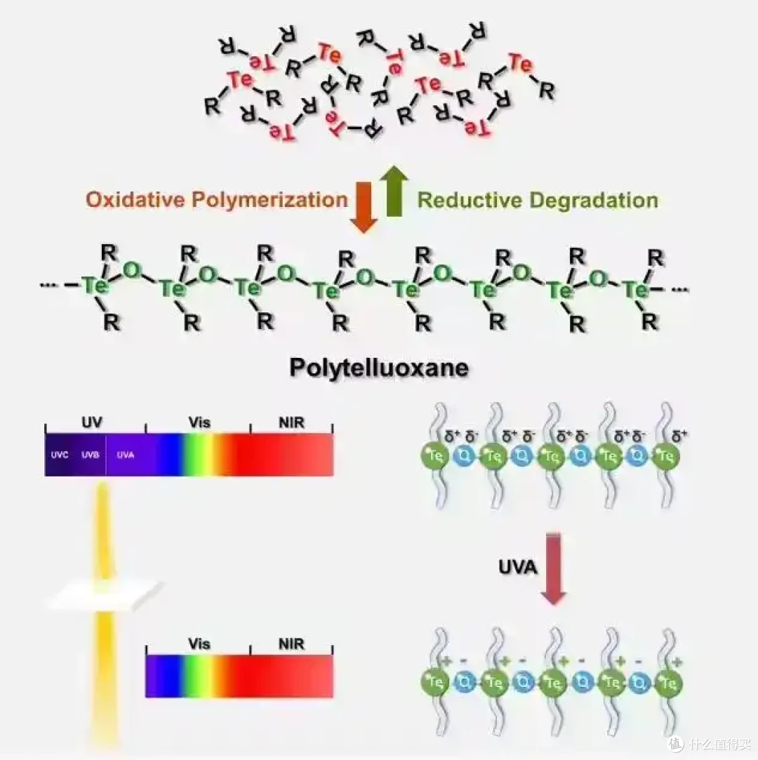 国产半导体技术新突破:开发出理想的极紫外(EUV)光刻胶材料