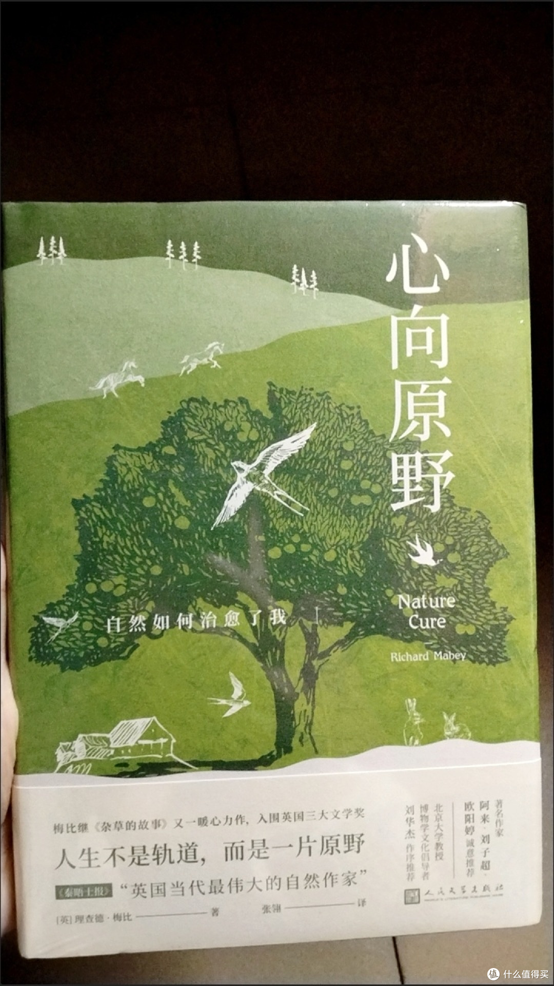夏日，于书中奔赴自然的治愈之约