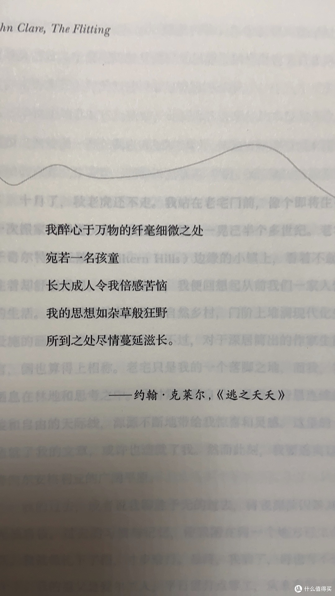 夏日，于书中奔赴自然的治愈之约