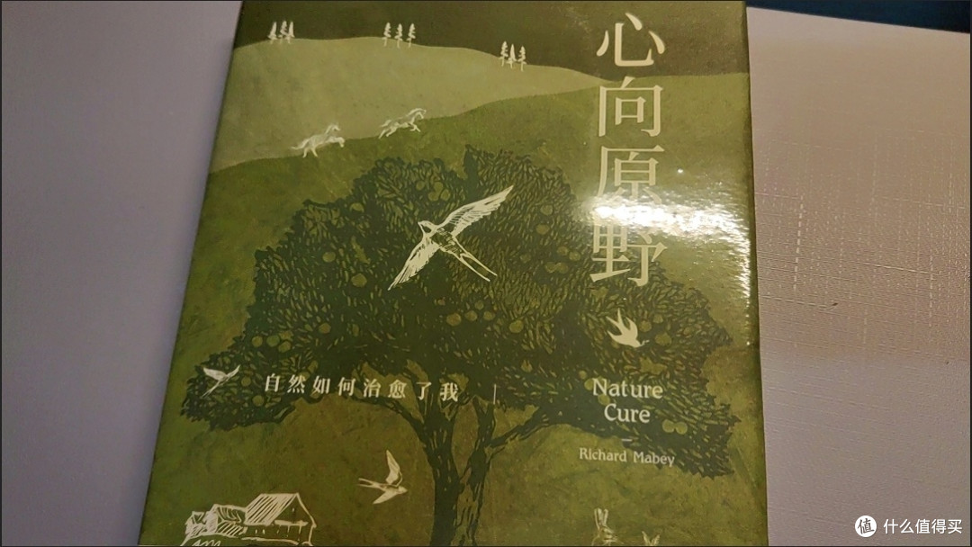 夏日，于书中奔赴自然的治愈之约