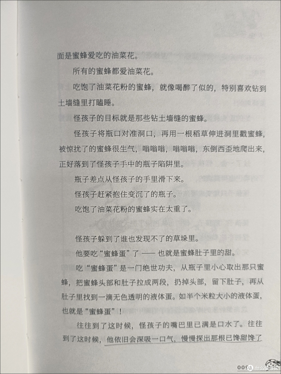 与《小虫子》相遇,重拾童年与自然之美