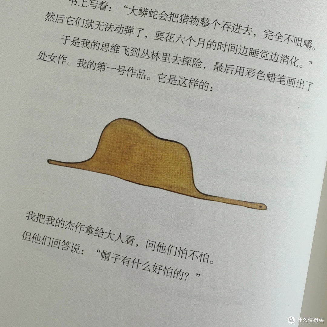 在“看不见”的迷宫里寻找坐标:重读《小王子》的四个理由