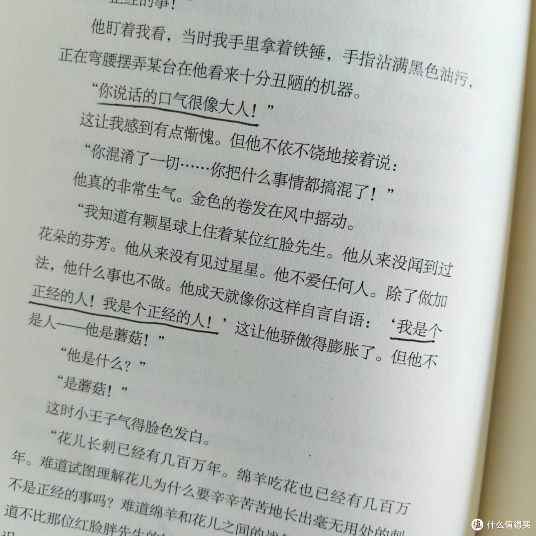 在“看不见”的迷宫里寻找坐标:重读《小王子》的四个理由