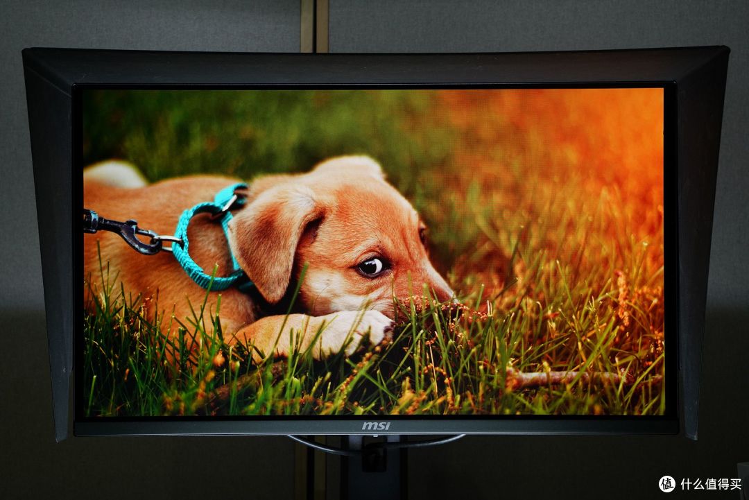 500Hz电竞新标杆,微星MAG 272QP QD-OLED X50开启视觉新时代