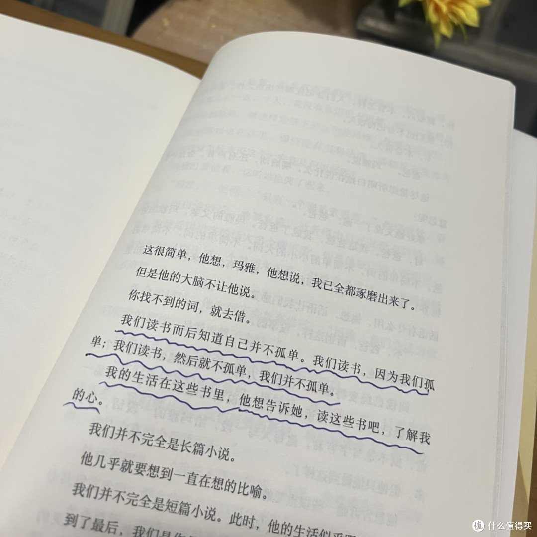 在孤独里开出花来-读《岛上书店》让一间小书店成为灵魂的避难所
