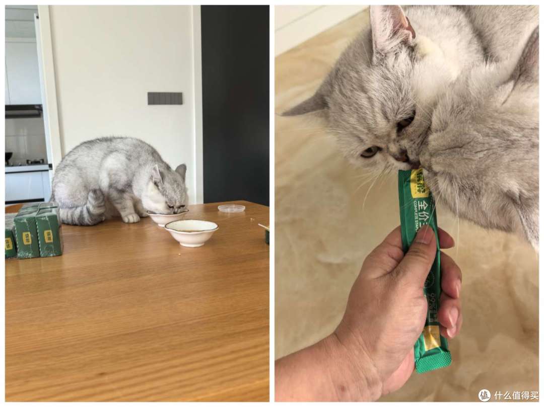 蓓醇的猫粮怎么样?鲜朗平替?
