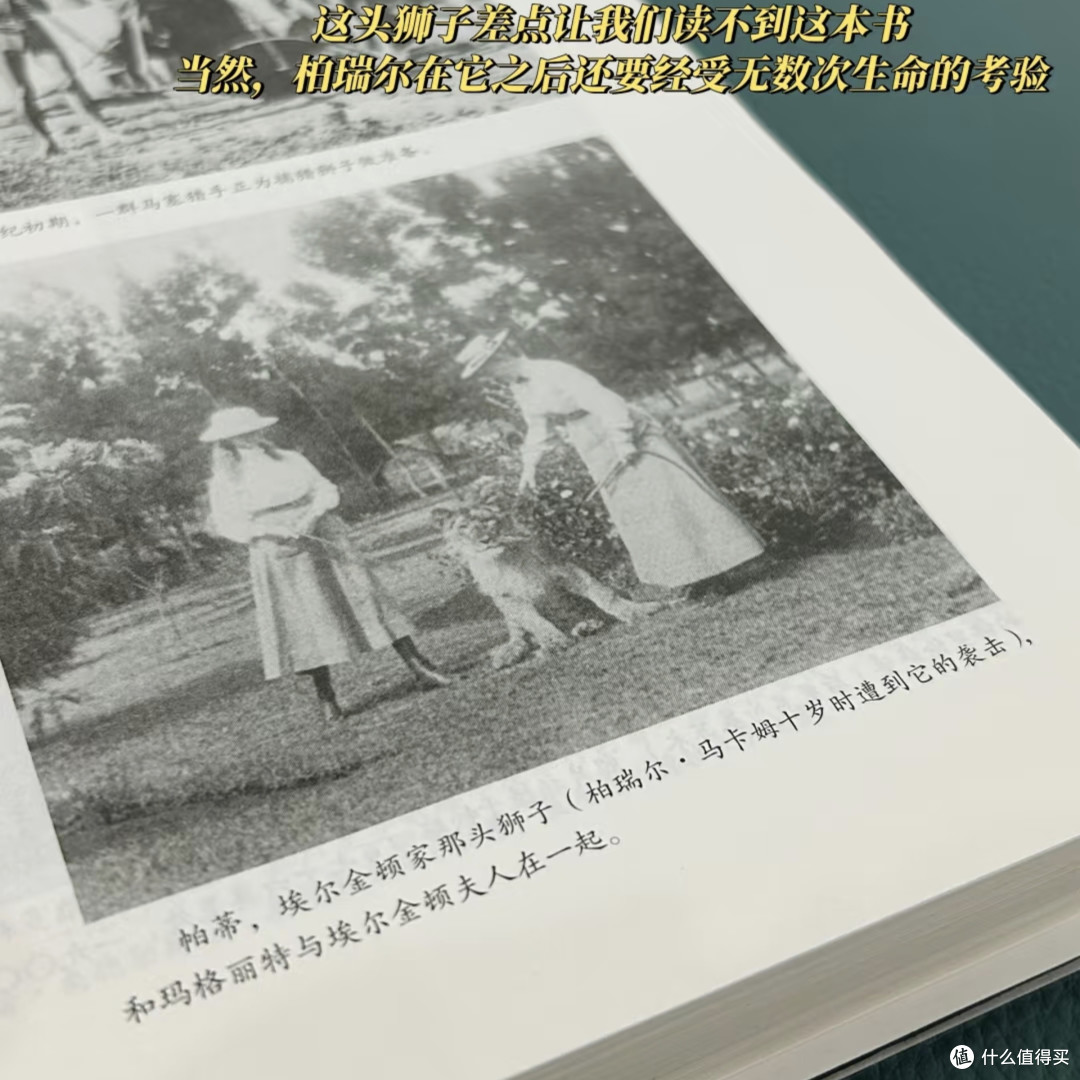 当文字成为微光——《夜航西飞》里那片无人知晓的非洲天空