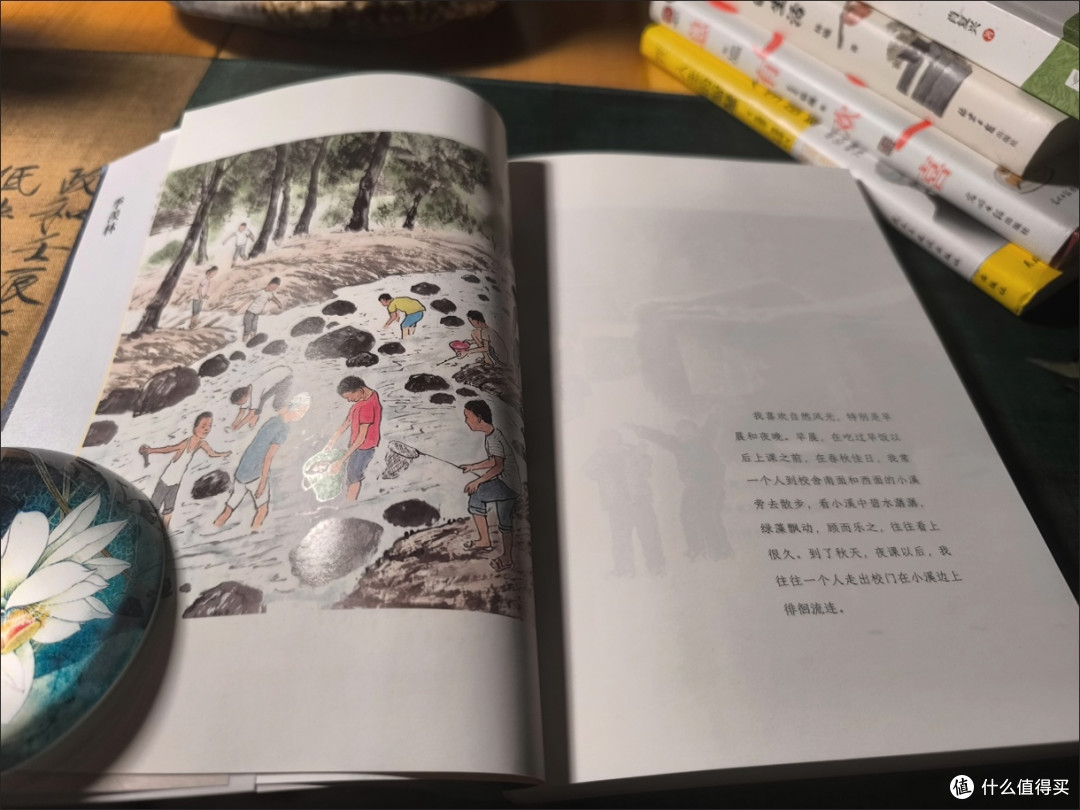 年中好书推荐:《黄昏里充满了木樨花的香》