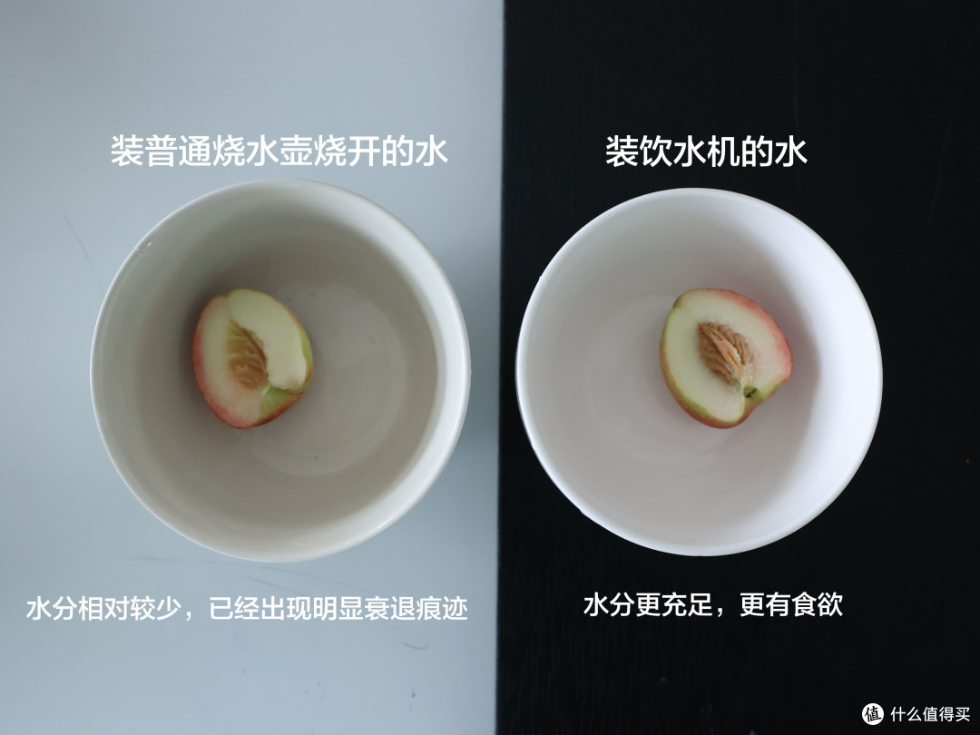 安全无毒吊打同行!死磕母婴级0塑料0胶水,宫菱即热饮水机测评