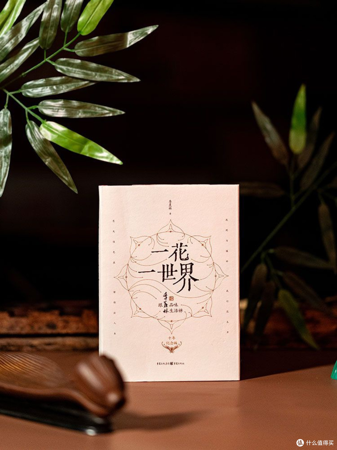 年中好书推荐:《一花一世界,此心安处是吾乡》