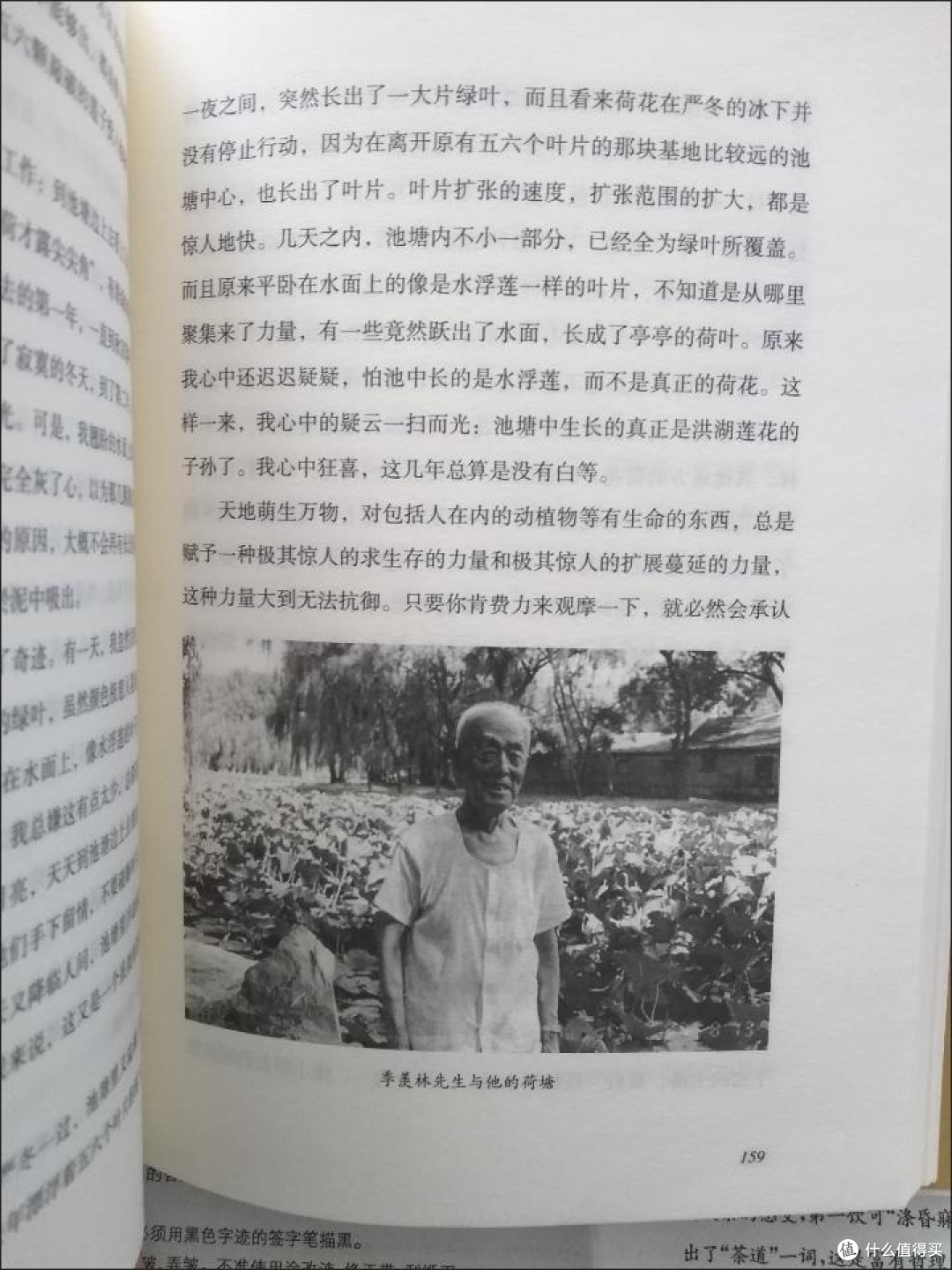 年中好书推荐:《一花一世界,此心安处是吾乡》