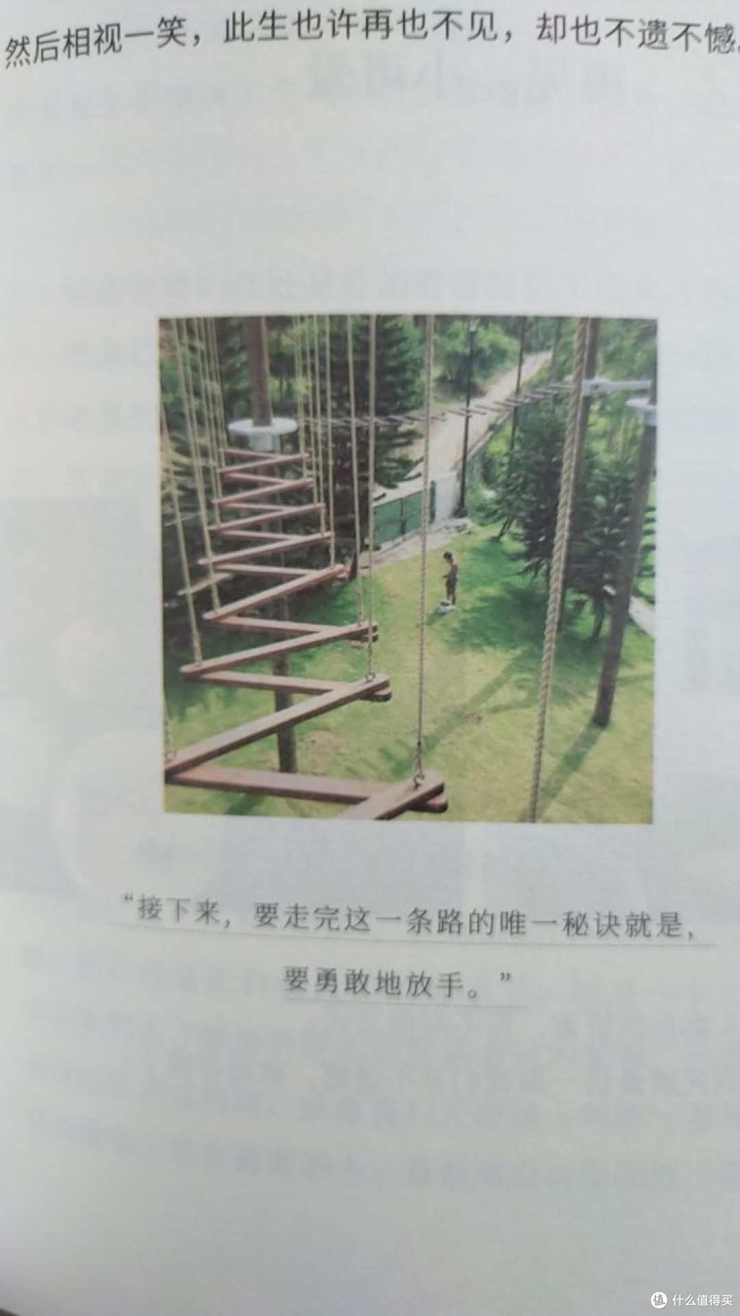 读书凉一夏,愿你喜欢被岁月修改的自己