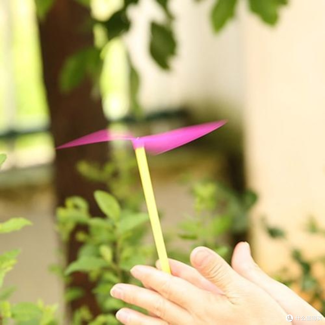 竹蜻蜓:童年的夏日欢乐