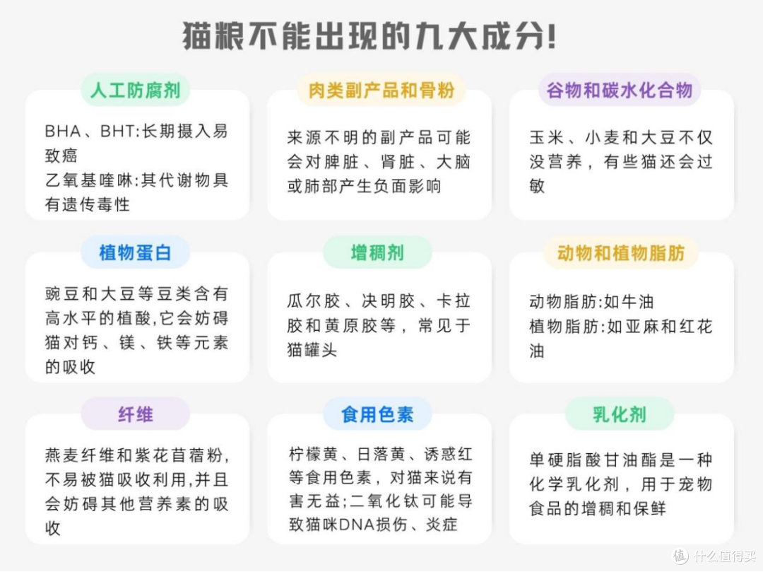滋奇猫粮好不好?五大品牌口碑款多方面实测对比揭晓!