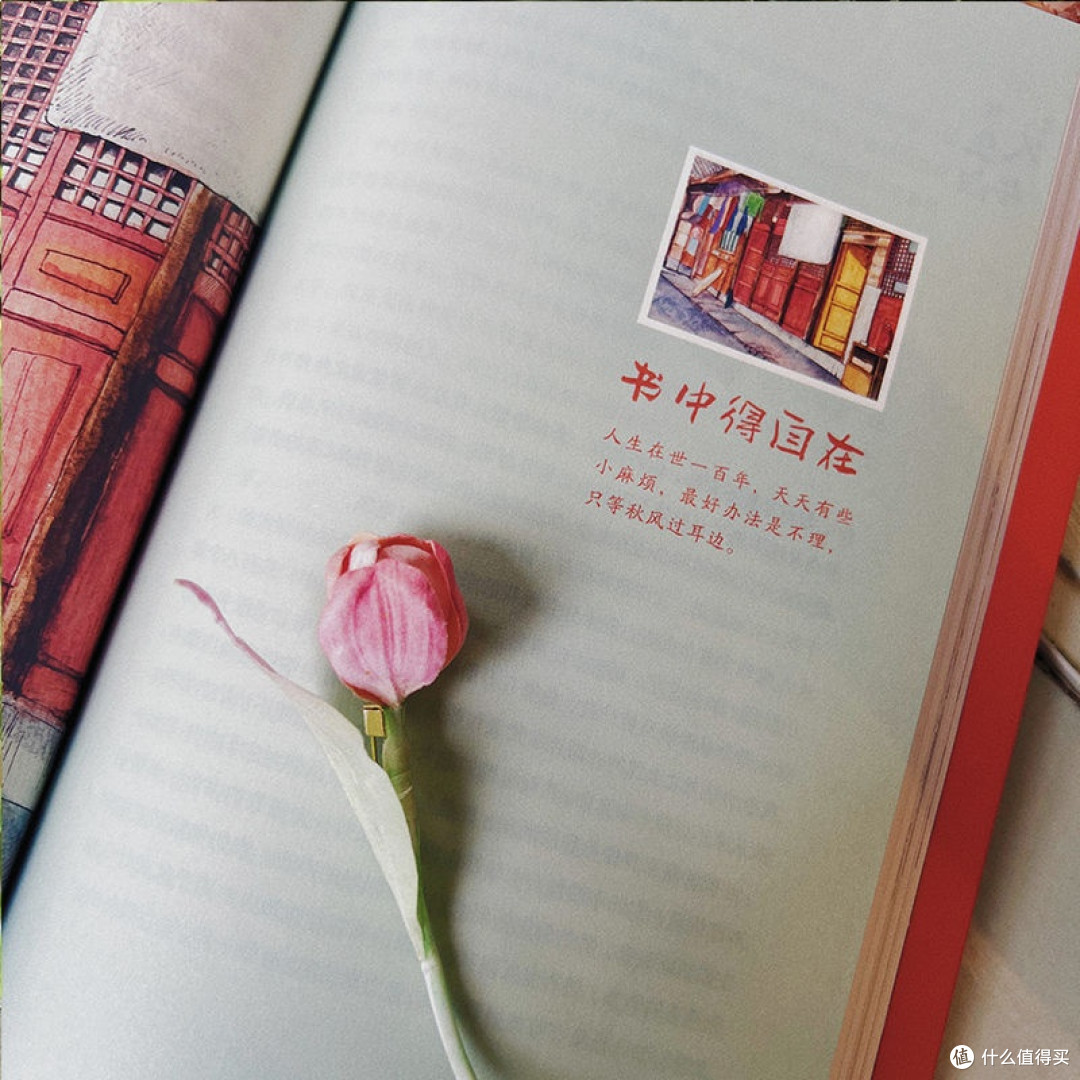 于书海拾贝，邂逅季羡林的人生智慧