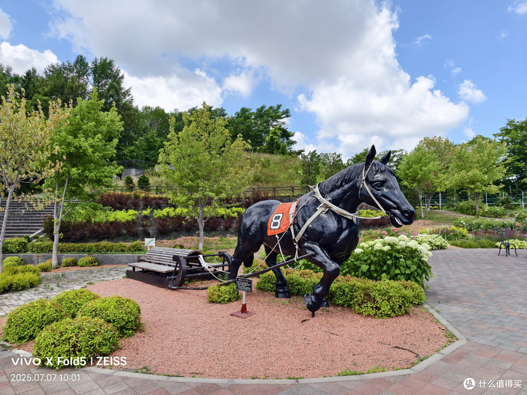 人性考验北国旅,他乡浅游高校记(北海道篇)