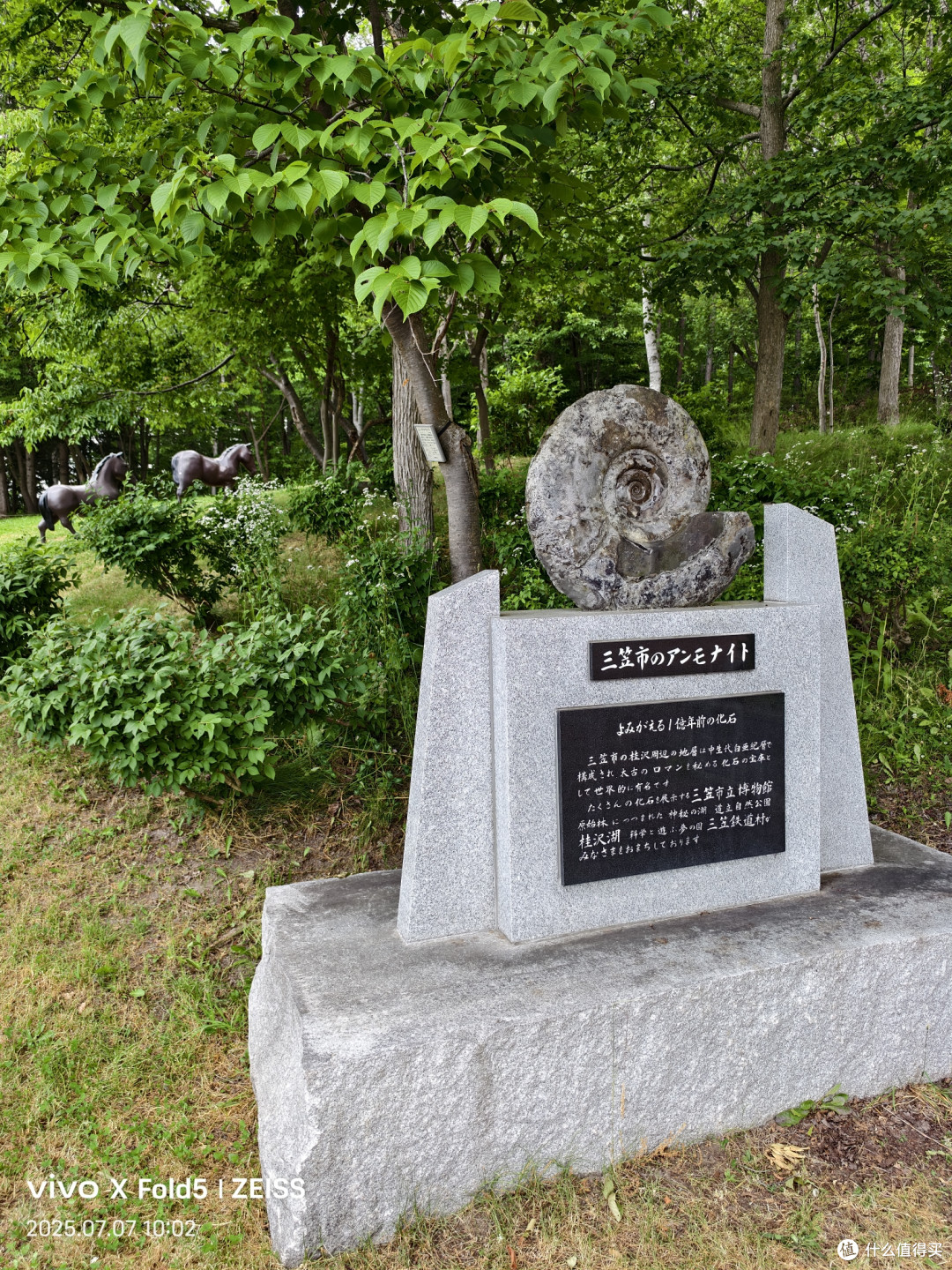 人性考验北国旅,他乡浅游高校记(北海道篇)