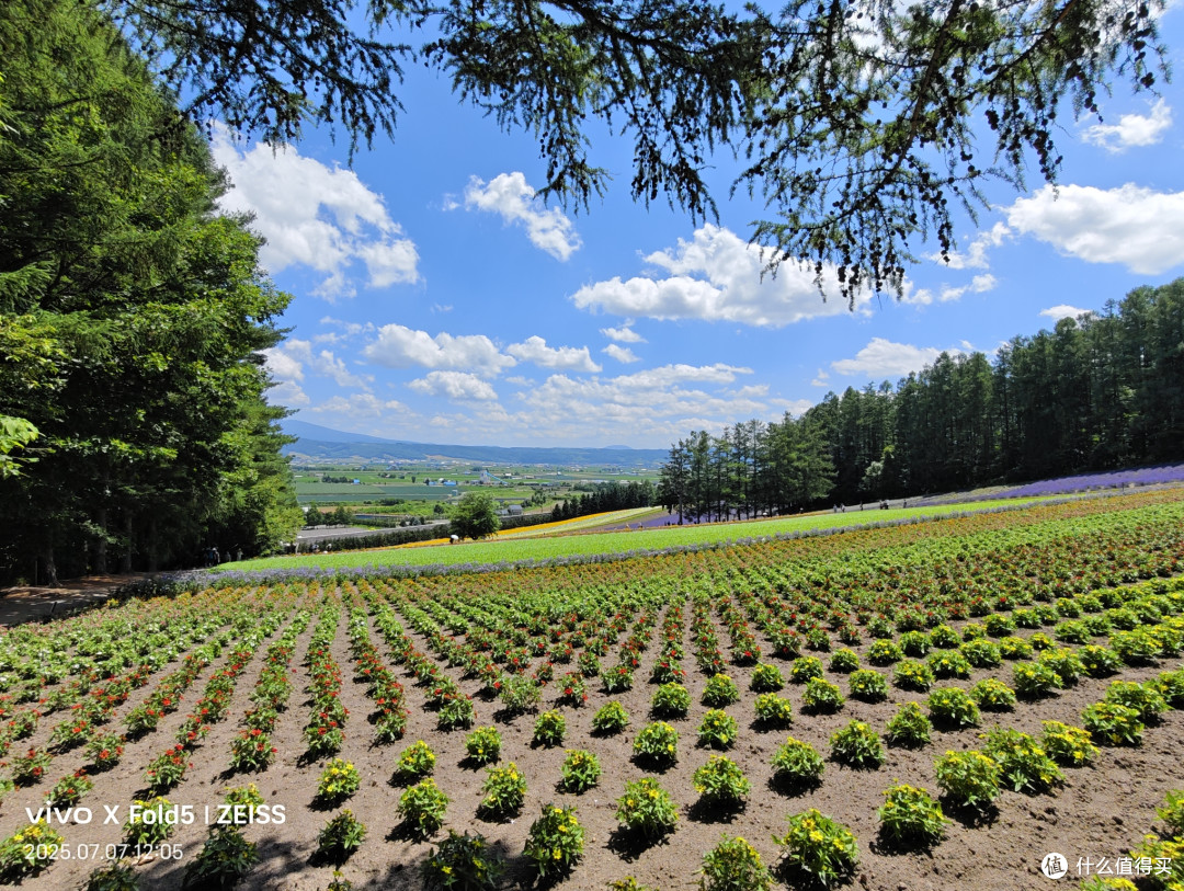 人性考验北国旅,他乡浅游高校记(北海道篇)