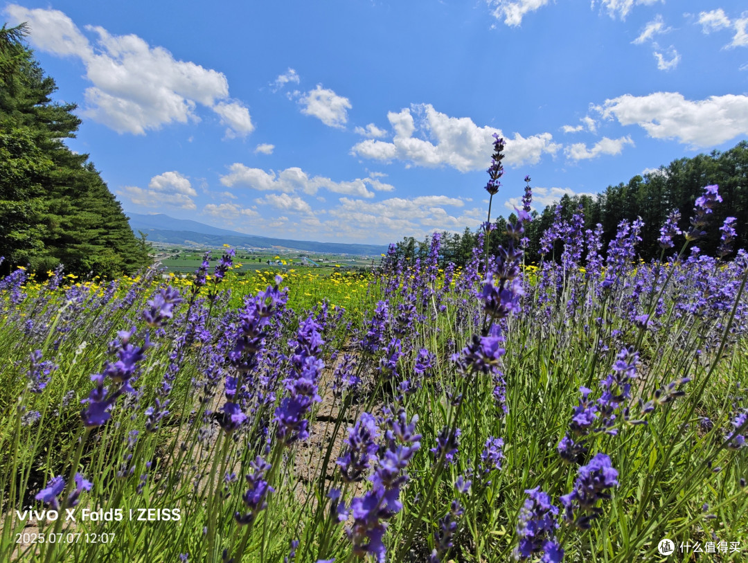 人性考验北国旅,他乡浅游高校记(北海道篇)