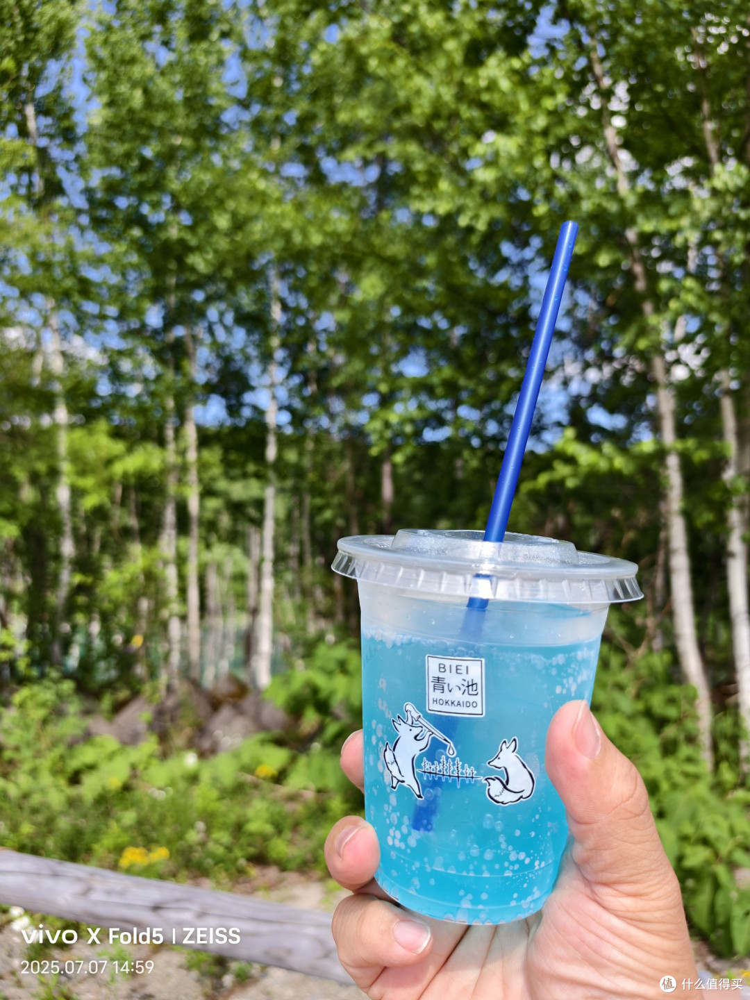 人性考验北国旅,他乡浅游高校记(北海道篇)