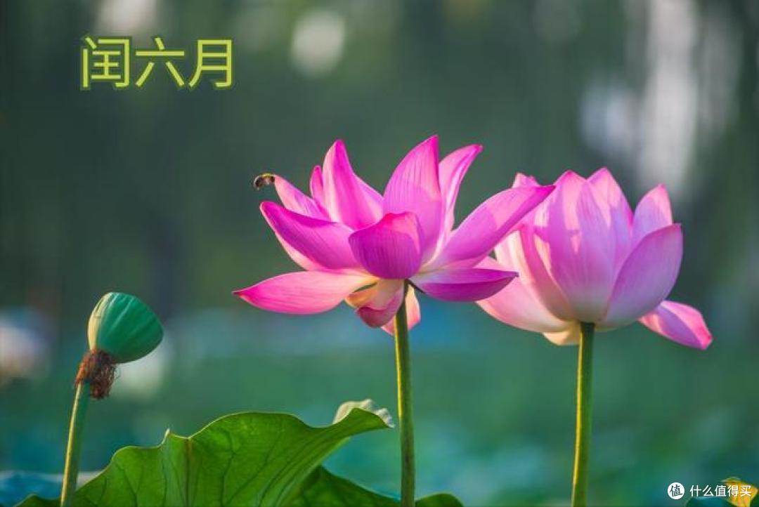 闰六月，牢记：4要做，3要避，3注意，福来祸事少，添福又增寿