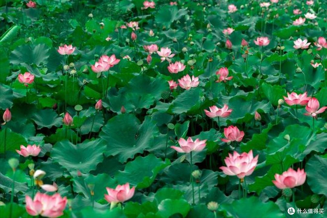 闰六月，牢记：4要做，3要避，3注意，福来祸事少，添福又增寿