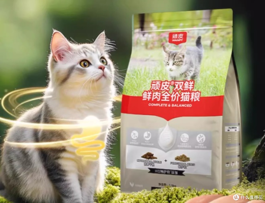 到底哪款猫粮好？2025经济实惠性价比高的猫粮推荐