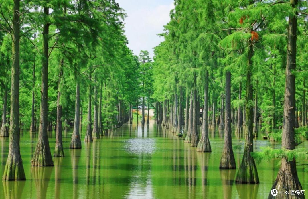 千湖之省的魅力,湖北湖泊景点推荐