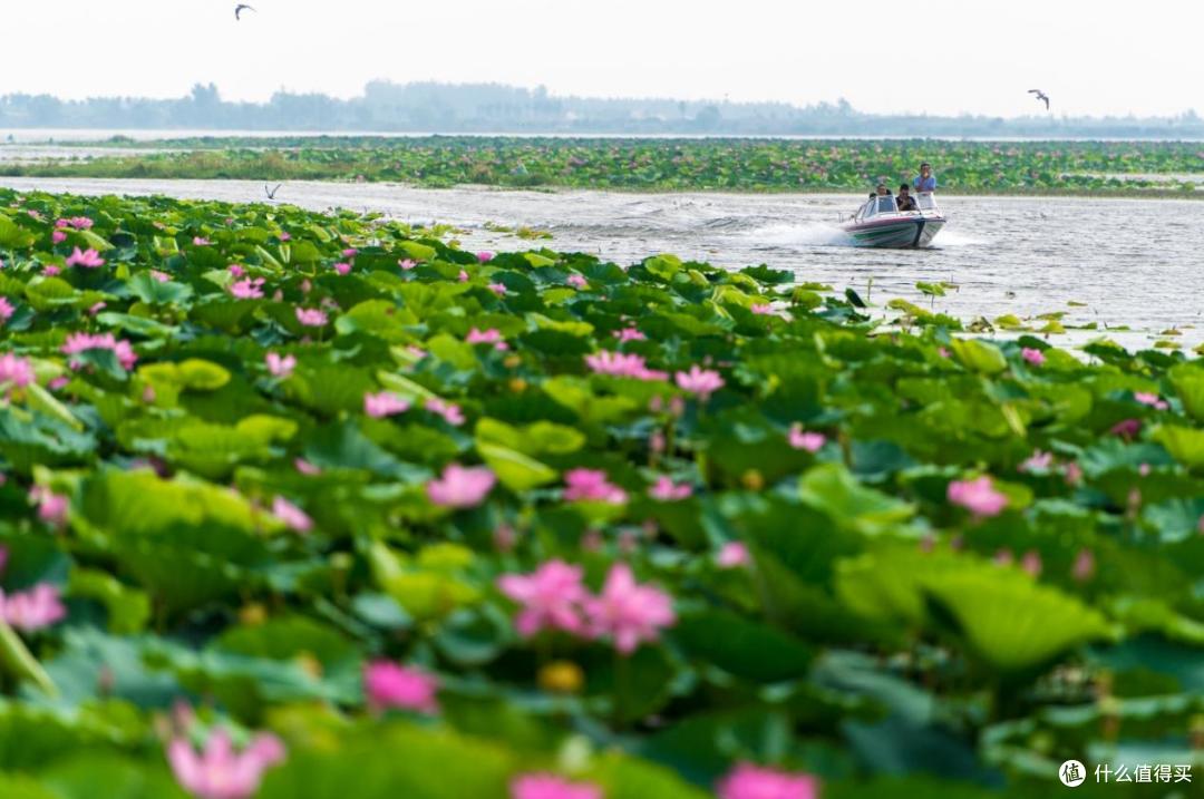 千湖之省的魅力,湖北湖泊景点推荐