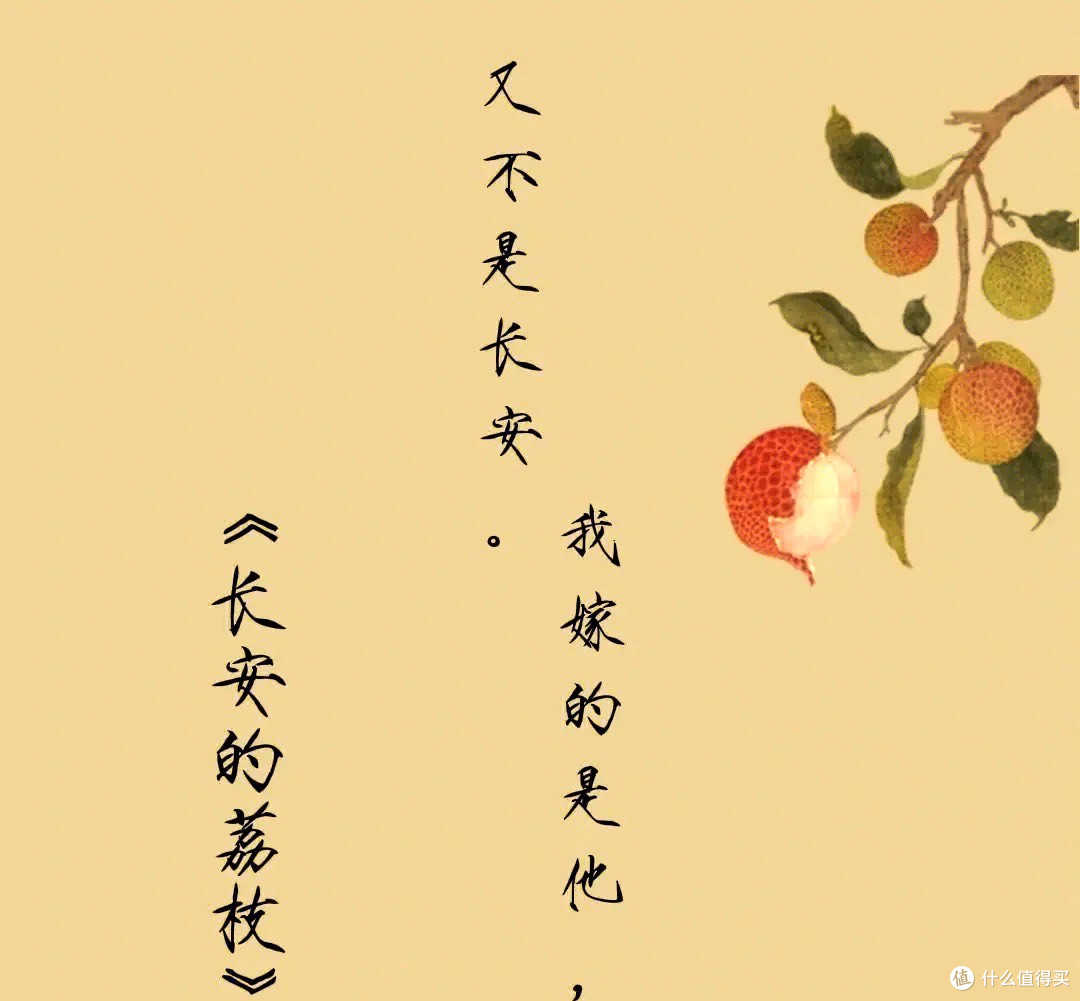 荔枝核上的盛唐!甜了荧幕还是酸了屏幕?!