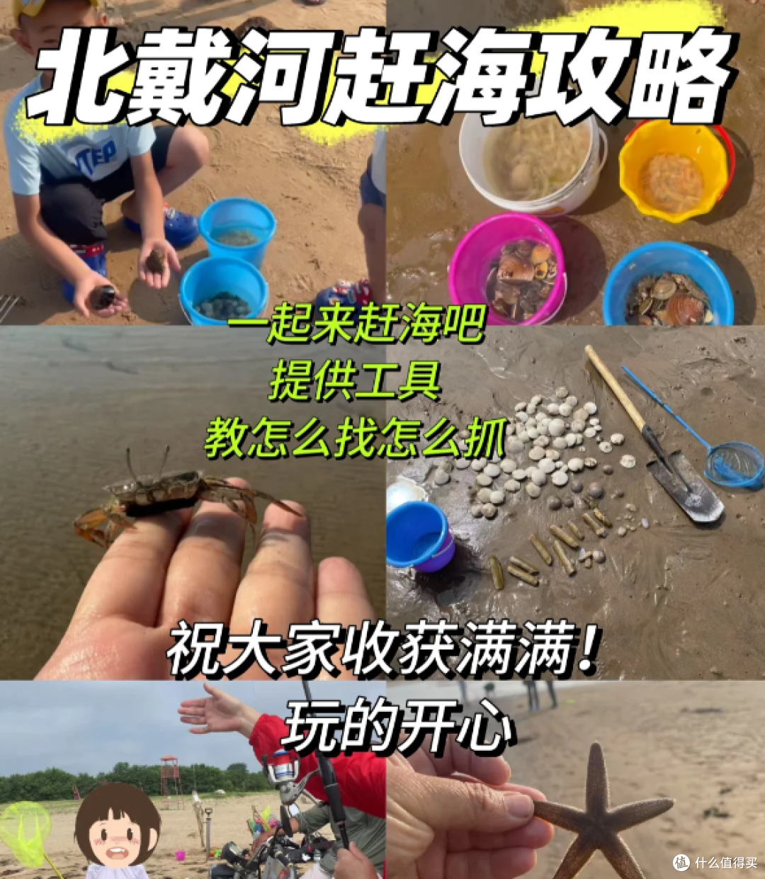 北戴河超全赶海攻略,浅水湾周边大揭秘