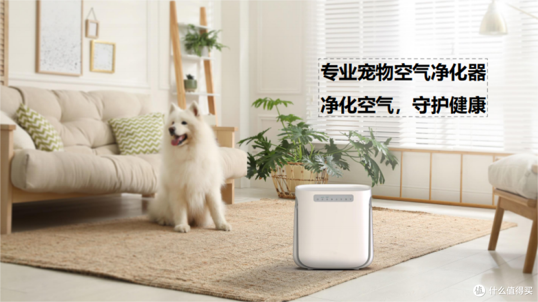 科技赋能生活:家电中的智慧变革