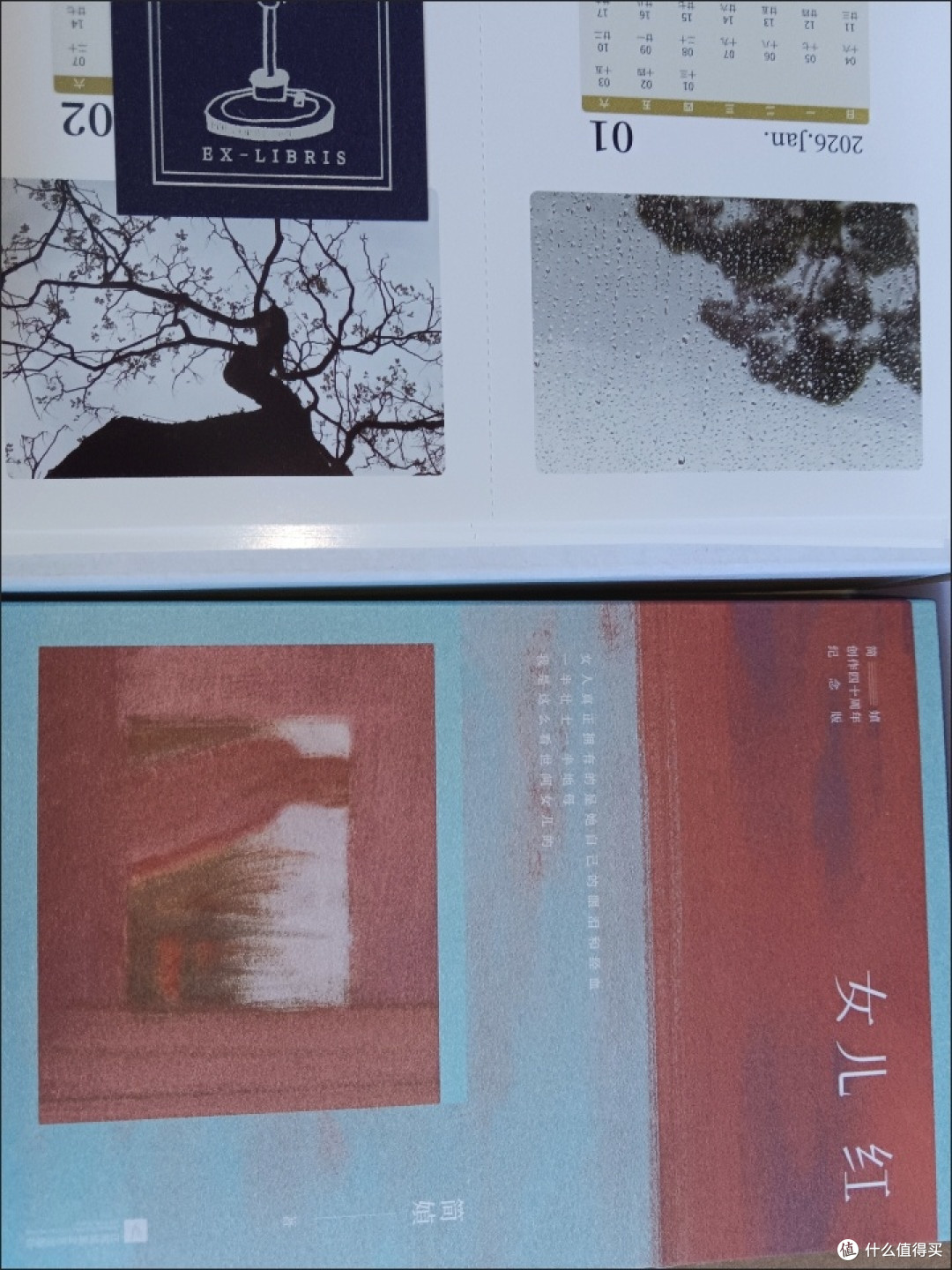 邂逅简媜,邂逅一场文字盛宴