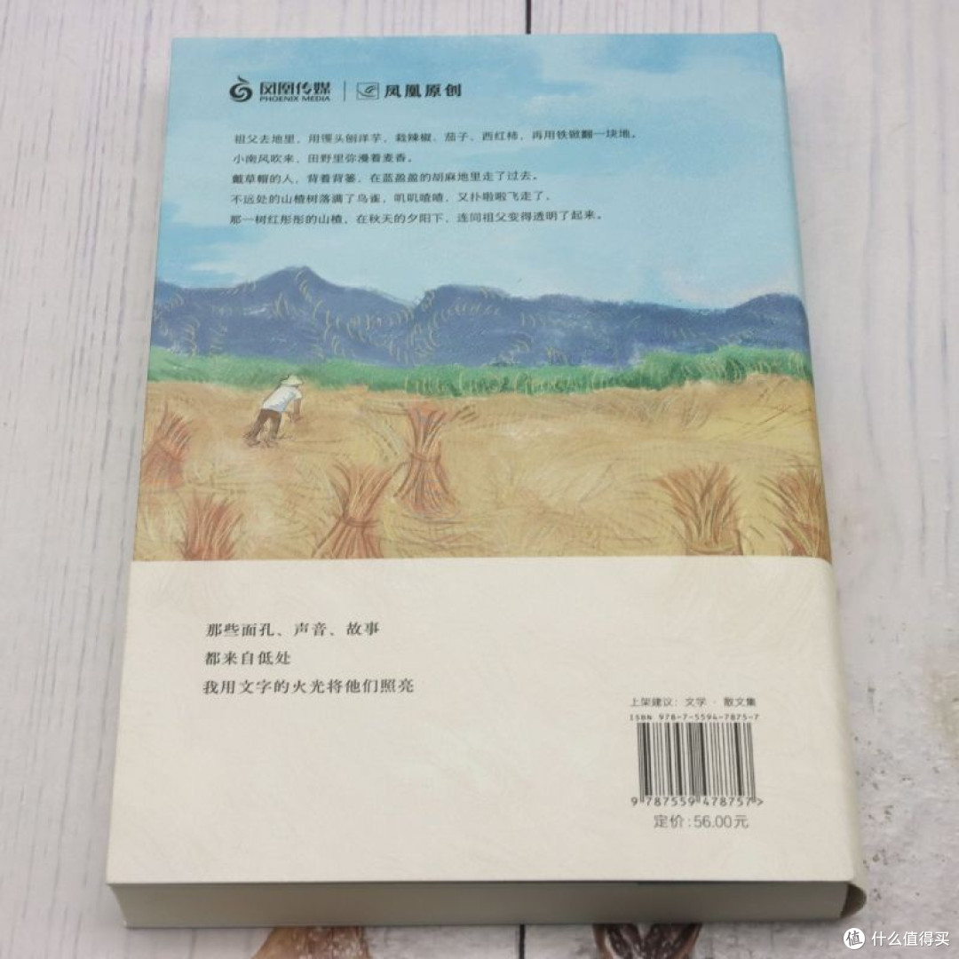 故乡的辽阔，是行囊里的月光