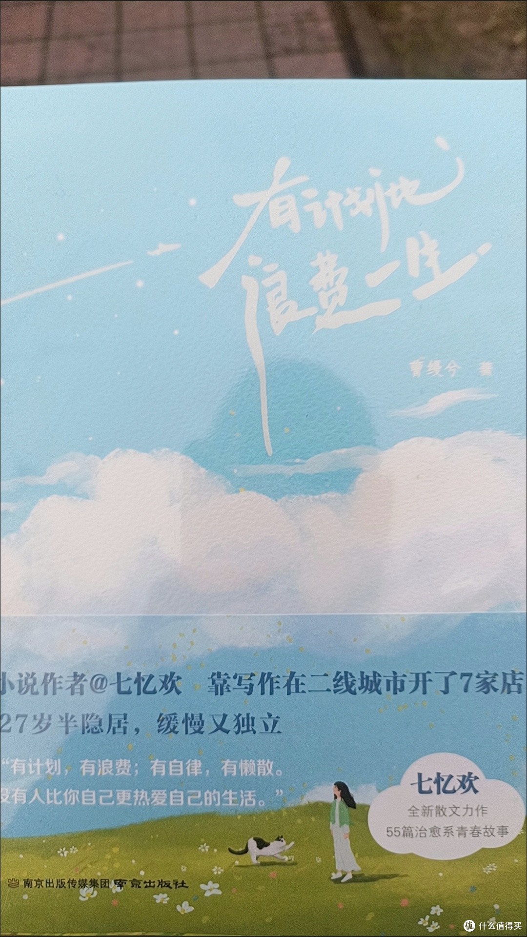 读《有计划地浪费一生》:给夏天降降温的松弛感指南