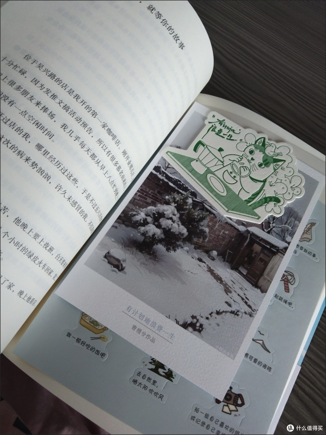 读《有计划地浪费一生》:给夏天降降温的松弛感指南